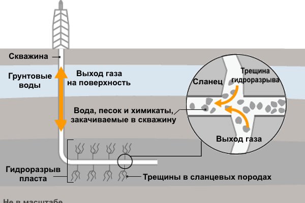 Пользователь не найден на кракене