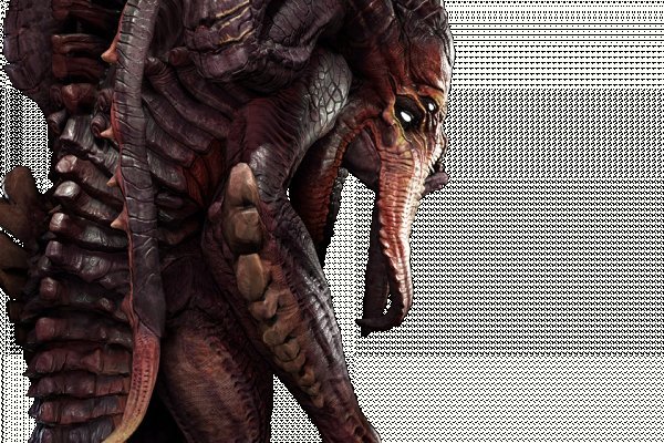 Kraken рабочий
