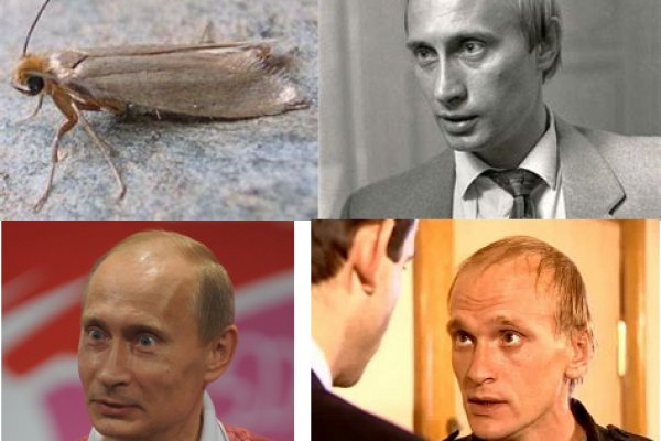 Зайти на кракен без тора
