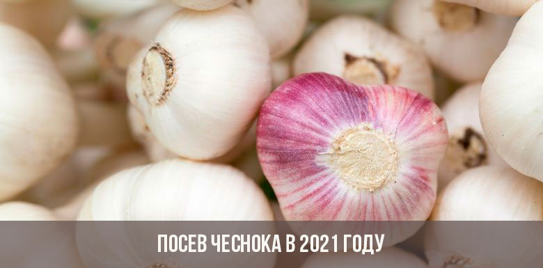 Как попасть на кракен